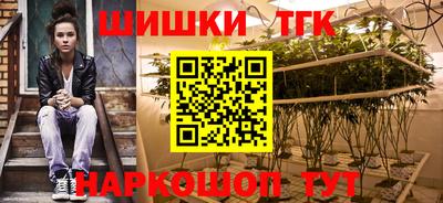 тгк Кингисепп