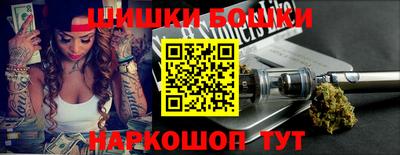 тгк Кингисепп