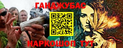 тгк Кингисепп
