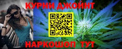тгк Кингисепп