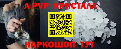 тгк Кингисепп