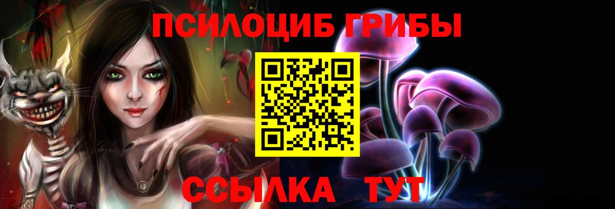 Галлюциногенные грибы Psilocybe Соликамск